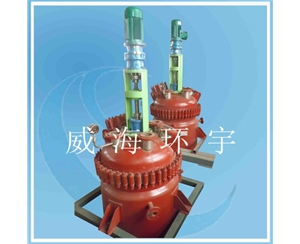 500L Mechanical Seal Reactor 